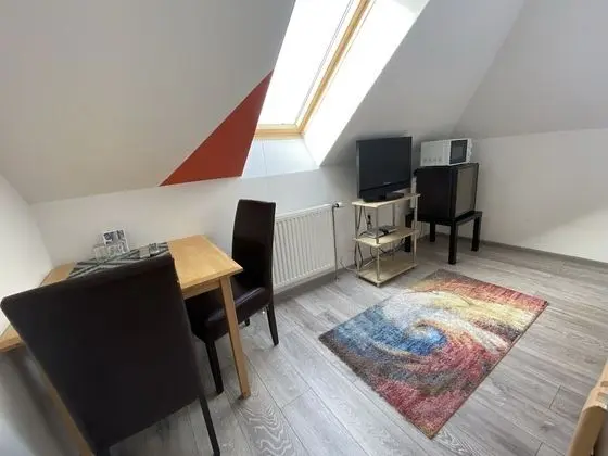 Basic Tek Büyük Yataklı Oda (Nr. 7)