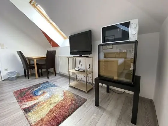 Basic Tek Büyük Yataklı Oda (Nr. 7)