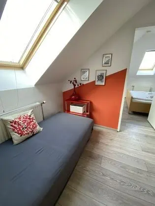 Basic Tek Büyük Yataklı Oda (Nr. 7)