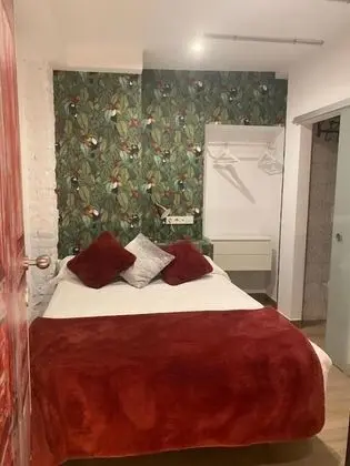 Standard Tek Kişilik Oda (Interior - Carola)