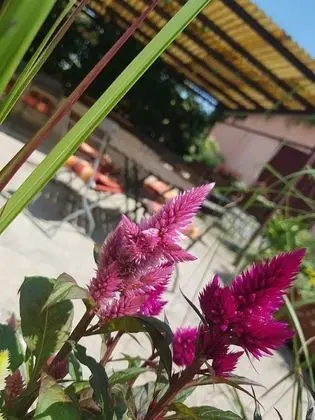 Basic Büyük Yataklı Tek Kişilik Oda