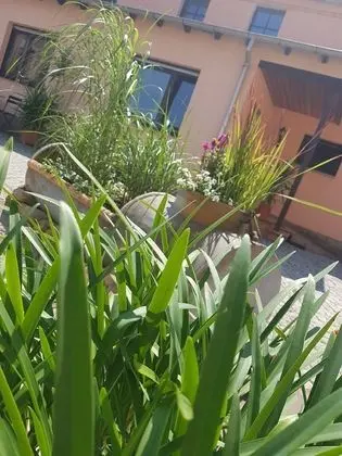 Basic Büyük Yataklı Tek Kişilik Oda