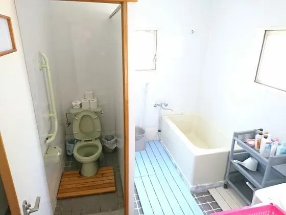 Traditional Kır Evi (Japanese Style)