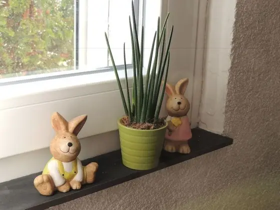 Basic Tek Büyük Yataklı Oda (1)