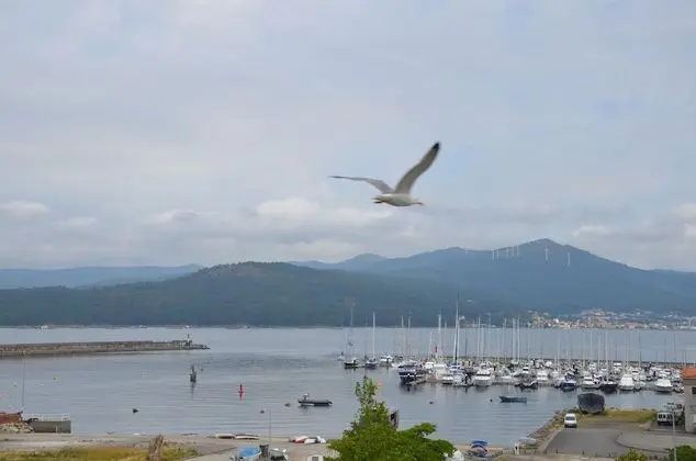 Basic Tek Büyük Yataklı Oda