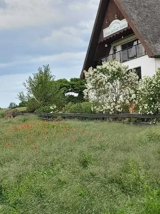 Standard Tek Büyük Yataklı Oda, Banyolu/Duşlu