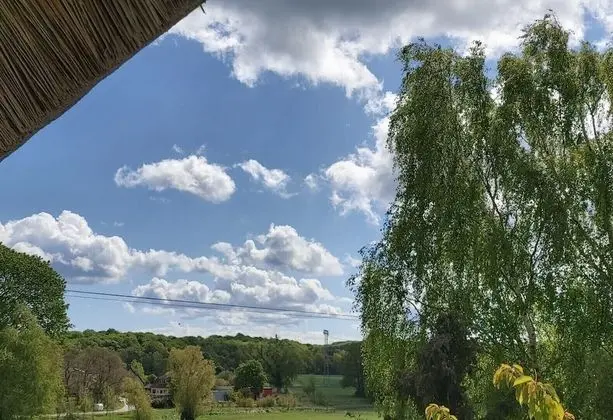 Standard Tek Büyük Yataklı Oda, Banyolu/Duşlu