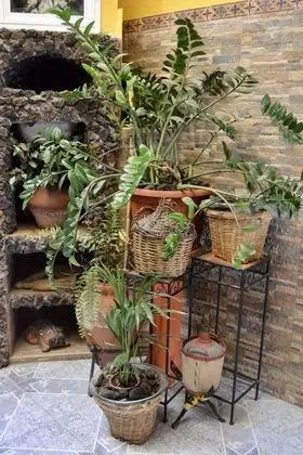 İki Ayrı Yataklı Oda, Özel Banyo