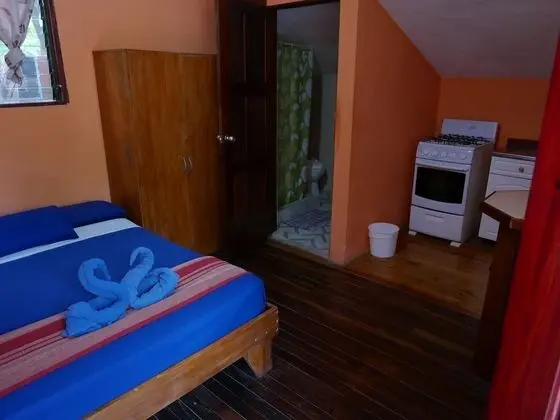 Premium Apart Daire, 1 Yatak Odası, Mutfak