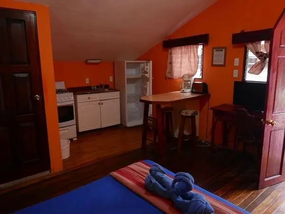 Premium Apart Daire, 1 Yatak Odası, Mutfak