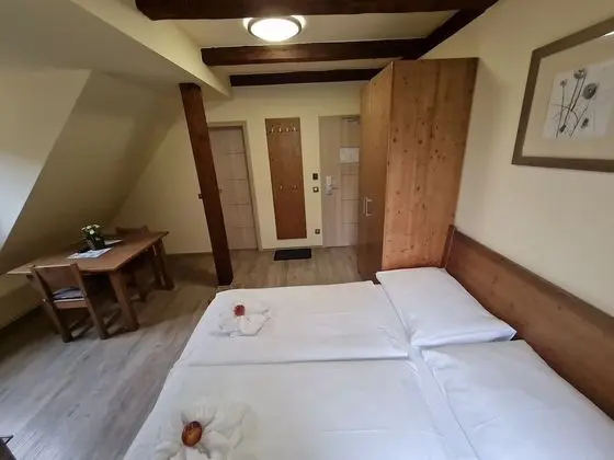 Superior Tek Büyük Yataklı Oda