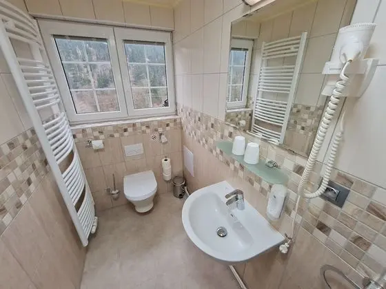 Superior Tek Büyük Yataklı Oda