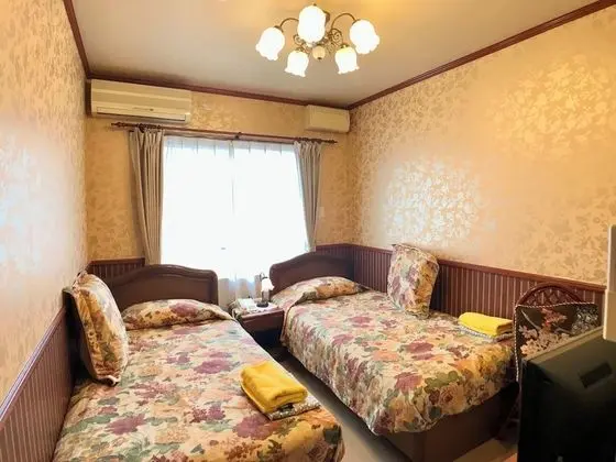 Traditional İki Ayrı Yataklı Oda, Sigara İçilmez, Özel Banyo