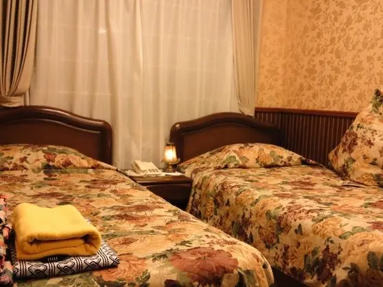 Traditional İki Ayrı Yataklı Oda, Sigara İçilmez, Özel Banyo