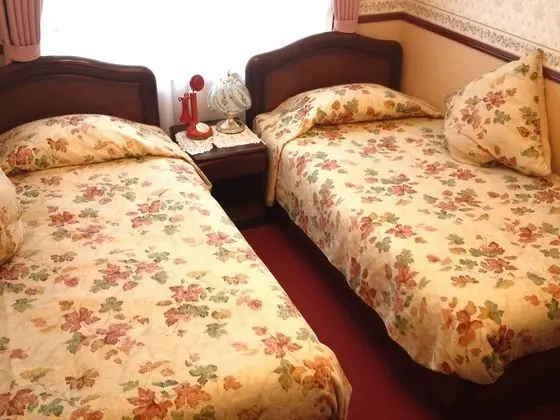 Traditional İki Ayrı Yataklı Oda, Sigara İçilmez, Özel Banyo