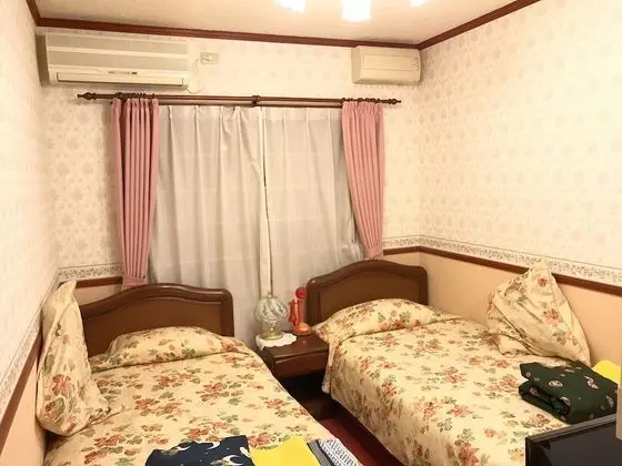 Traditional İki Ayrı Yataklı Oda, Sigara İçilmez, Özel Banyo