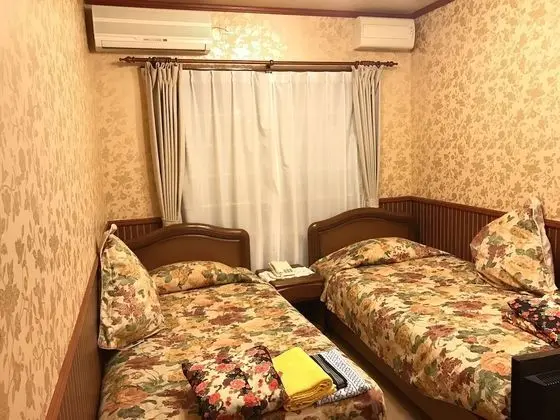Traditional İki Ayrı Yataklı Oda, Sigara İçilmez, Özel Banyo