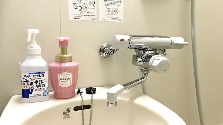 Traditional İki Ayrı Yataklı Oda, Sigara İçilmez, Özel Banyo