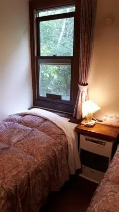 Standard İki Ayrı Yataklı Oda, Sigara İçilmez (able to ski back from the forest)
