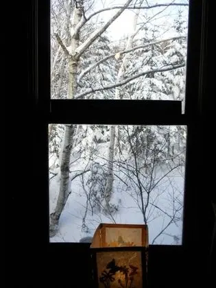 Standard İki Ayrı Yataklı Oda, Sigara İçilmez (able to ski back from the forest)
