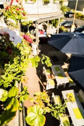 Deluxe Tek Büyük Yataklı Oda, 1 En Büyük (King) Boy Yatak (Lilla / Grey Nr. 10)