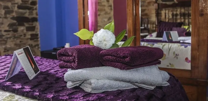 Basic Tek Büyük Yataklı Oda, Özel Banyo, Bahçe Manzaralı (Hb Db)