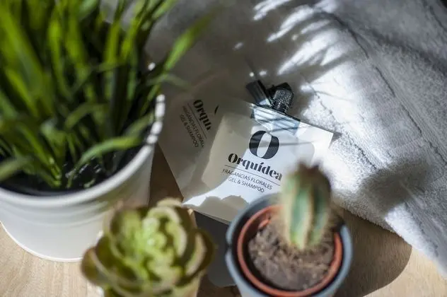 Tek Büyük Yataklı Oda, Balkon