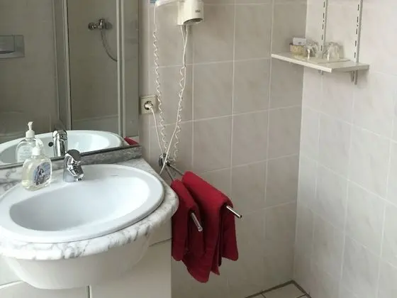 Standard Tek Büyük veya İki Ayrı Yataklı Oda, Banyolu/Duşlu, Avlu Manzaralı