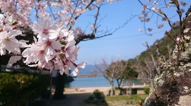 Kır Evi (102, 104, 105)