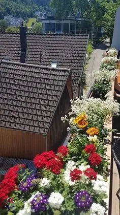 Deluxe Dört Kişilik Oda (1)