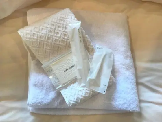 İki Ayrı Yataklı Oda, Sigara İçilmez (with Toilet)