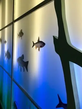 Design Tek Büyük Yataklı Oda (Unter und Über Wasser)