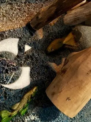 Design Tek Büyük Yataklı Oda (Unter und Über Wasser)