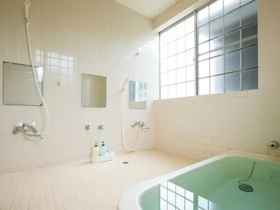 Traditional Dört Kişilik Oda, Sigara İçilmez (Japanese Style, Shared Bathroom)