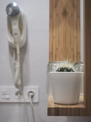 Tek Kişilik Oda, Buzdolabı ve Mikrodalga, Plaj Kenarı