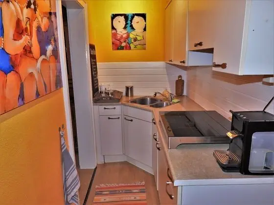 Traditional Apart Daire, Kanal Manzaralı, Dağ Yamacı