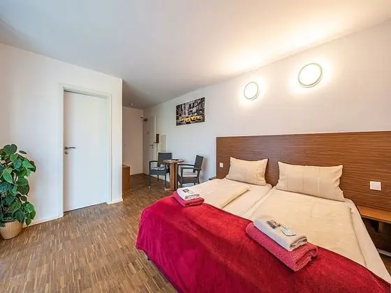 Standard Tek Büyük Yataklı Oda, Engellilere Uygun, Özel Banyo