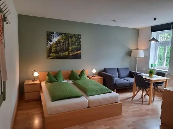 Stüdyo, 1 Çift Kişilik Yatak, Park Manzaralı