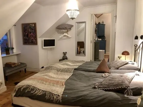 Classic Tek Büyük Yataklı Oda, 1 En Büyük (King) Boy Yatak, Kanal Manzaralı