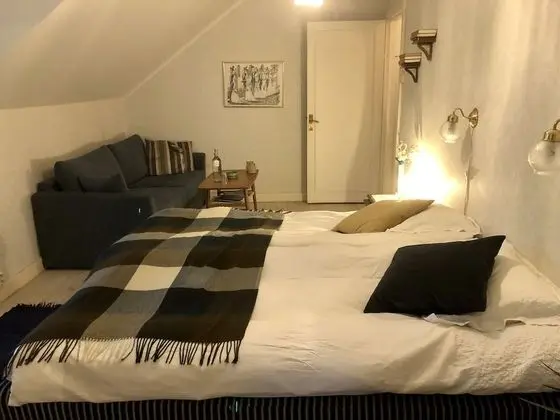Classic Tek Büyük Yataklı Oda, 1 En Büyük (King) Boy Yatak ve Çekyat, Kanal Manzaralı