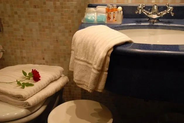 Superior Tek Büyük veya İki Ayrı Yataklı Oda