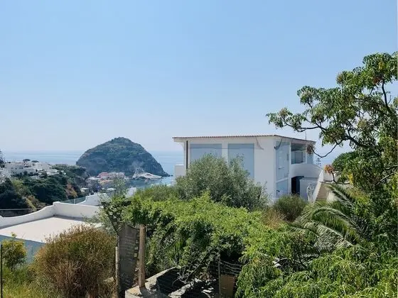 Tek Büyük Yataklı Oda, Banyolu/Duşlu (Camera Basic)