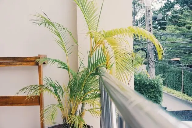 Oda, 1 Yatak Odası, Balkon