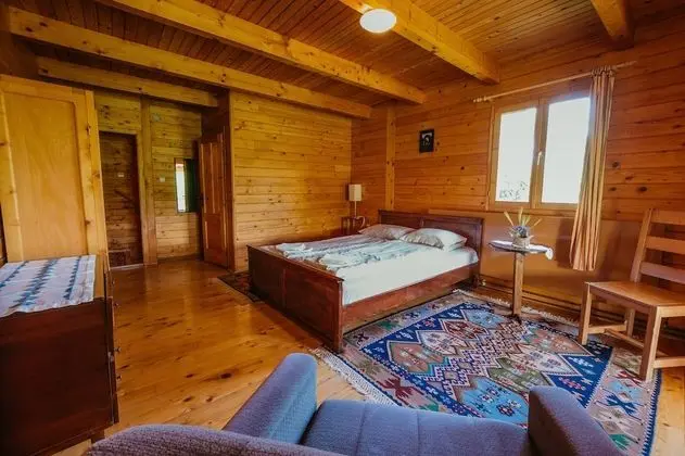 Standard Tek Büyük veya İki Ayrı Yataklı Oda, 1 Çift Kişilik Yatak