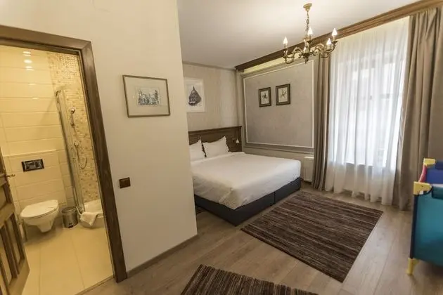 Superior Tek Büyük Yataklı Oda, Sigara İçilmez