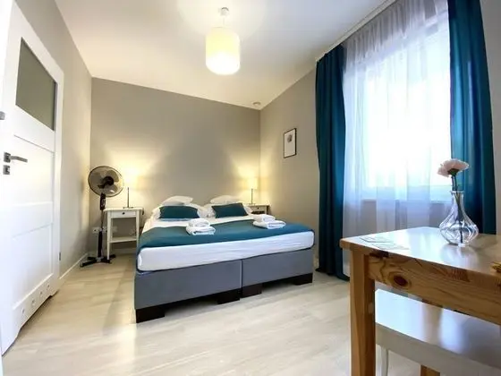 Standard Tek Büyük Yataklı Oda (1)