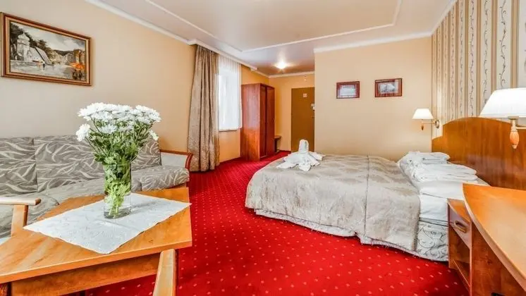 Premium Tek Büyük Yataklı Oda, Sigara İçilmez