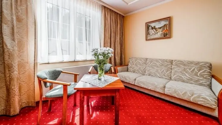 Premium Tek Büyük Yataklı Oda, Sigara İçilmez