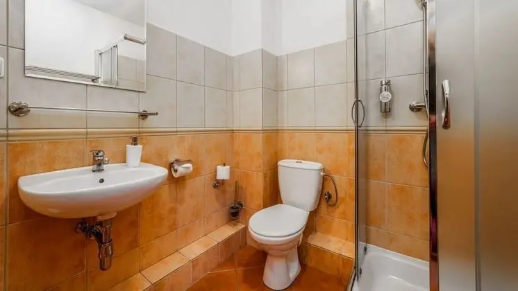 Premium Tek Büyük Yataklı Oda, Sigara İçilmez
