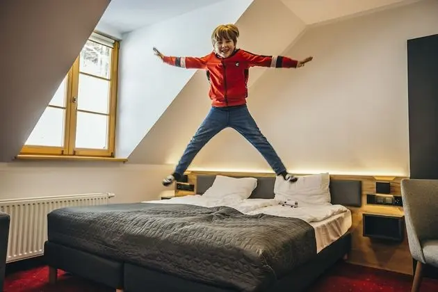 Standard Tek Büyük Yataklı Oda, Sigara İçilmez